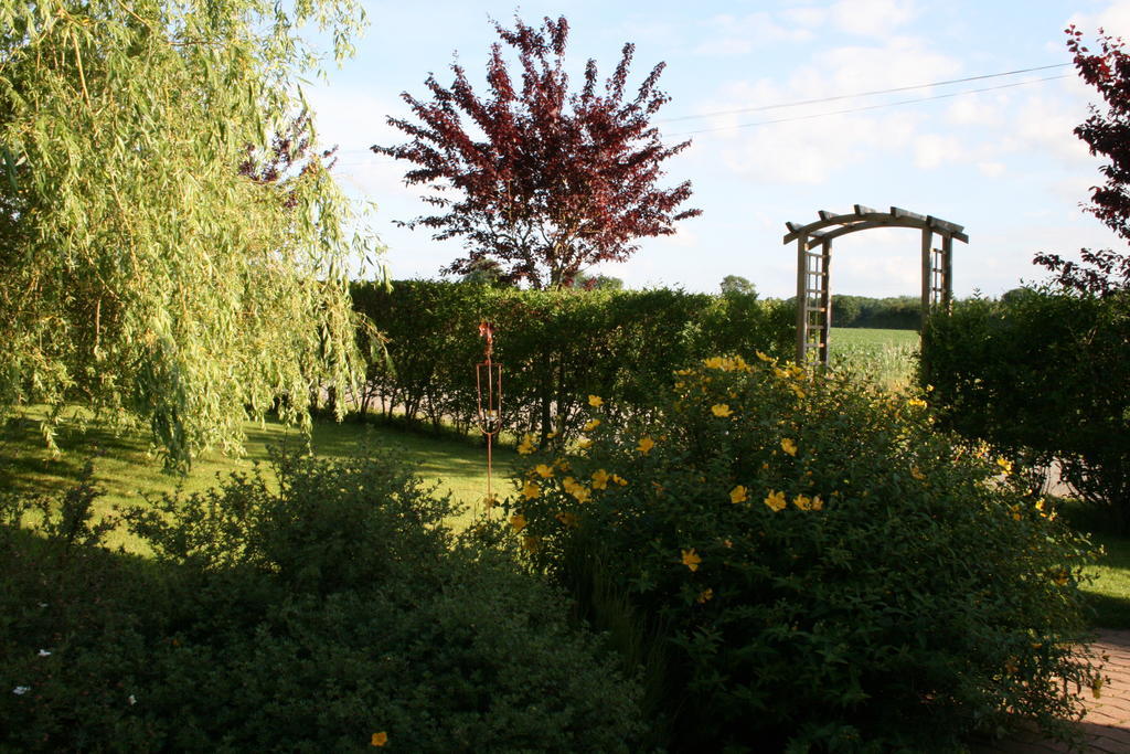 Herbages De Beauvais Bed & Breakfast Orgeres-la-Roche Exterior photo